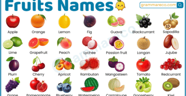 200+ Fruits Names: Types of Fruit with their Pictures and List