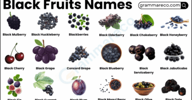 33 Black Fruits Names: Ultimate List with their Photos