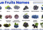40+ List of Blue Fruits Names that Are Naturally Blue with Photos