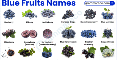 40+ List of Blue Fruits Names that Are Naturally Blue with Photos