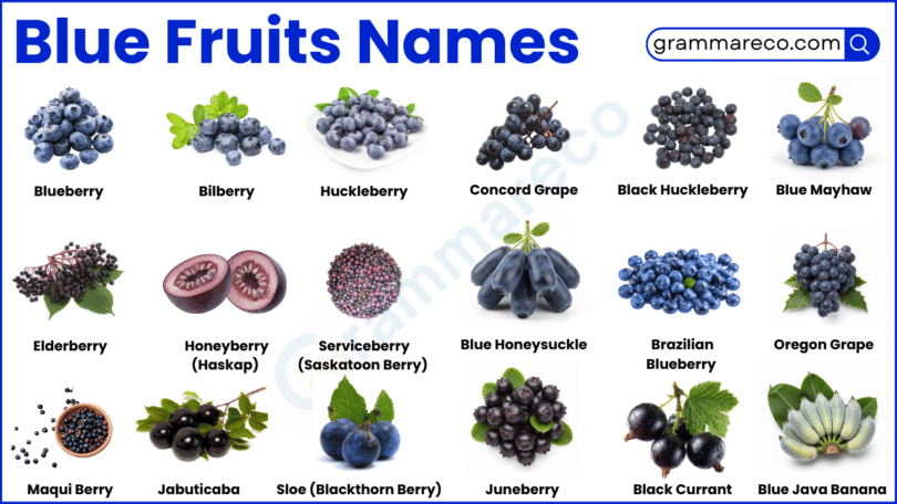 40+ List of Blue Fruits Names that Are Naturally Blue with Photos