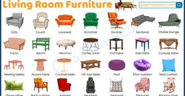 50+ Living Room Furniture Names: Essential List with Pictures