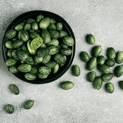 African Cucumber (Cucumis metuliferus)