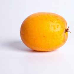 Ambarella Fruit Summer