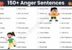 Anger in Sentences: 150+ Examples in English