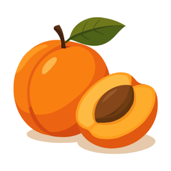 Apricot: Round Fruits Names