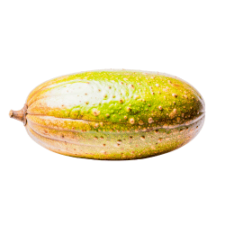 Baobab Fruit: Exotic Fruits List