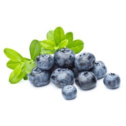 Bilberry Blue Fruit