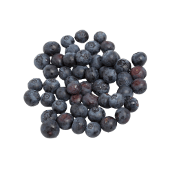 Black Huckleberry