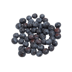 Black Huckleberry