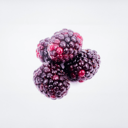 Black Loganberry