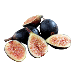 Black Mission Fig