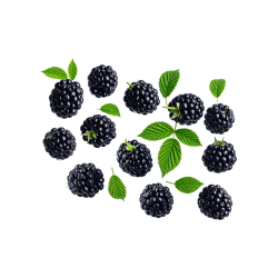 Blackberries: 33 Black Fruits Names