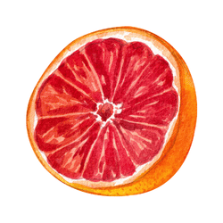 Blood orange Fruits