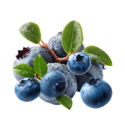 Blue Lingonberry: Blue Fruits Names