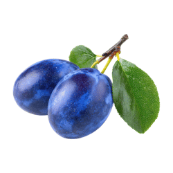 Blue Plum