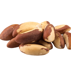 Brazil Nut: Dried Fruits Names