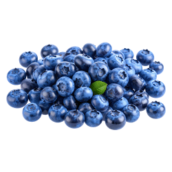Brazilian Blueberry