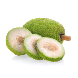 Breadfruit
