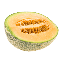 Cantaloupe