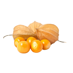 Cape gooseberry