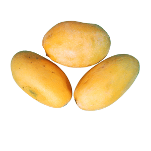 Chaunsa Mango Type: Varieties of Mangoes with Images