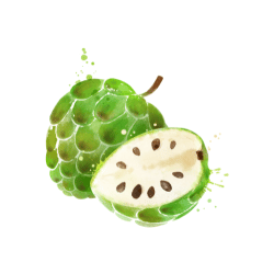 Cherimoya