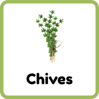 Chives: Herbs and Plants Names