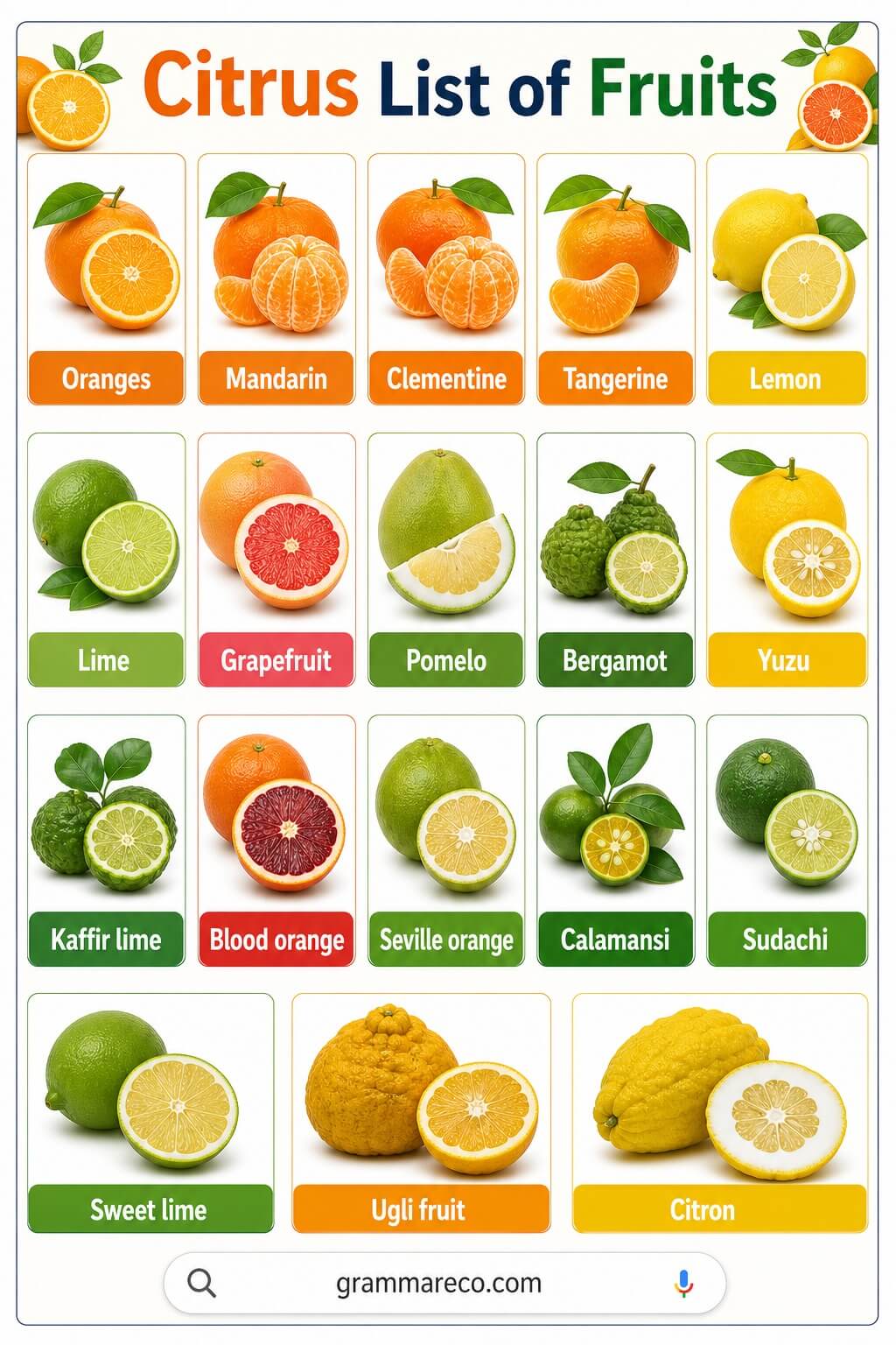Citrus List of Fruit Names