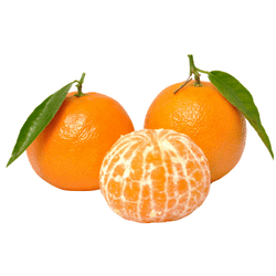 Clementine: Winter Fruits