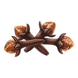 Cloves: Spices Pantry Staples List with Pictures