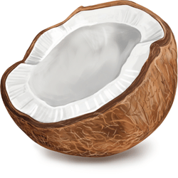 Coconut