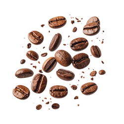 Coffee (ground)