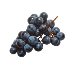 Concord Grape