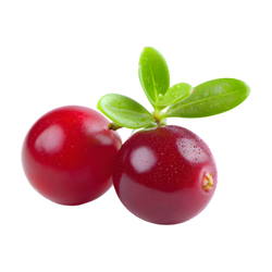 Cranberry: Round Fruits Names