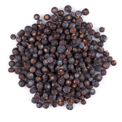 Currant: Dried Fruits Names