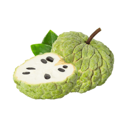 Custard apple: Winter Fruits
