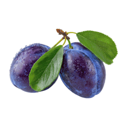 Damson Plum