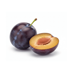 Damson Plum