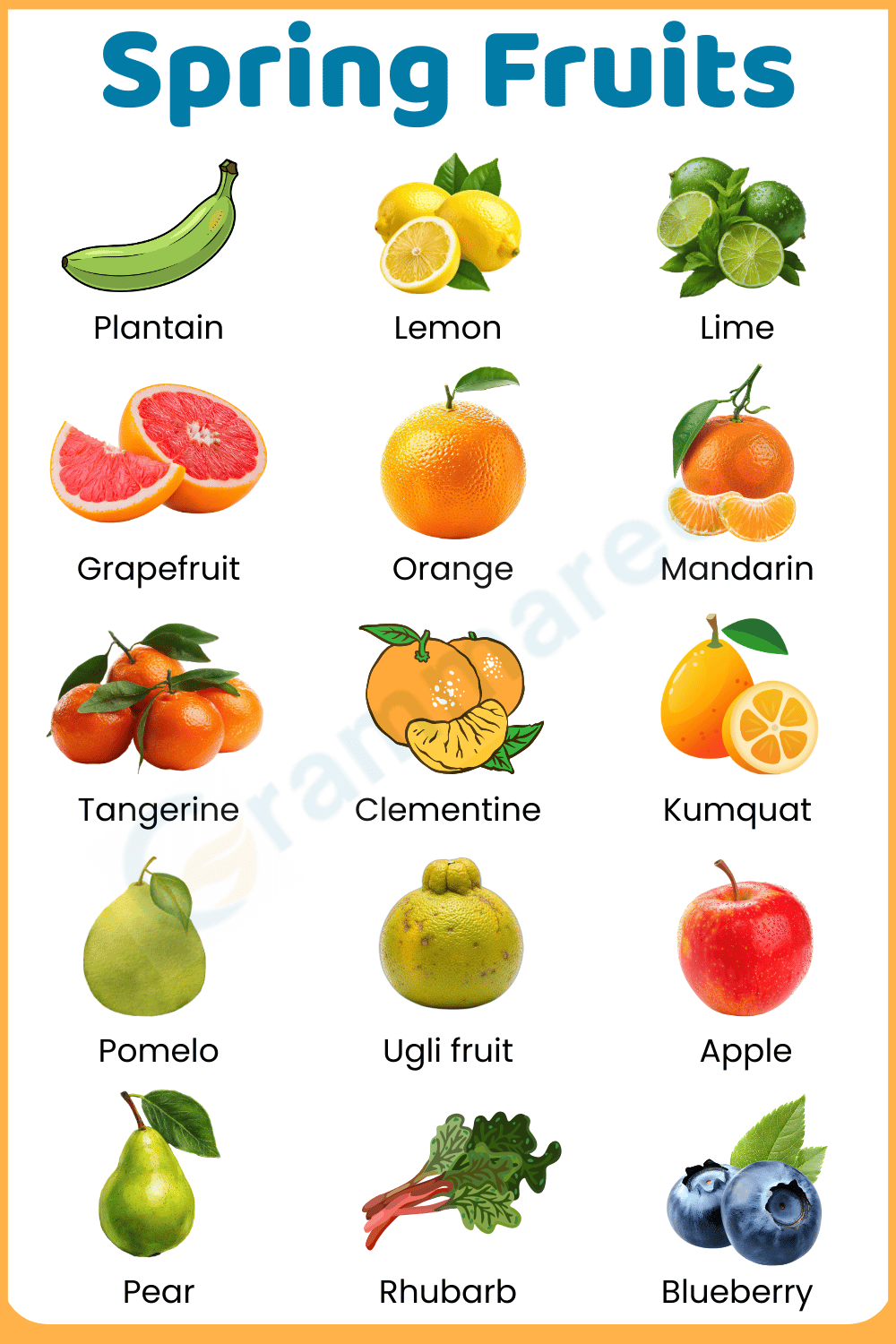 Different 50+ Spring Fruit Names and Pictures