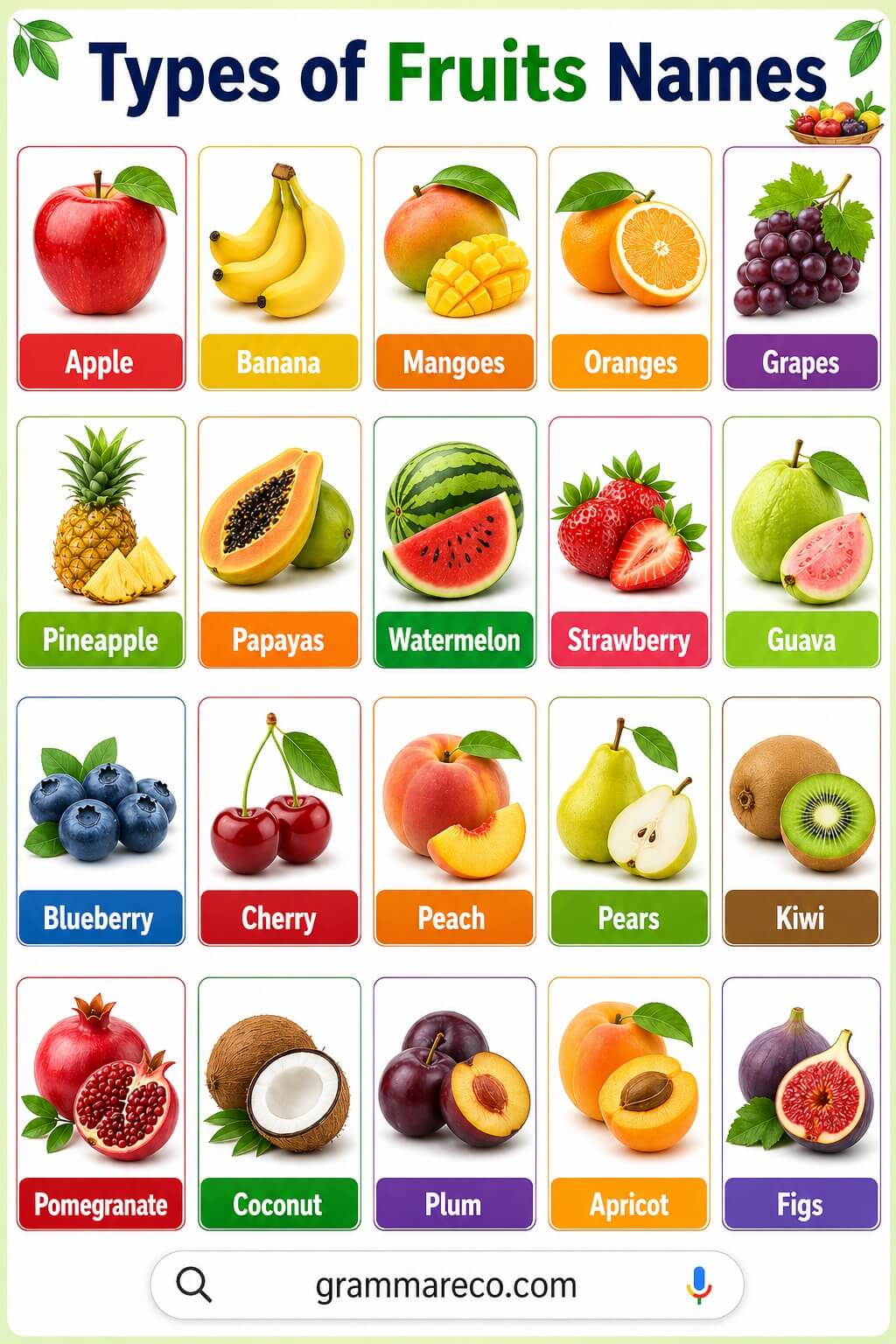 Different Types of Fruits Names in English with Pictures