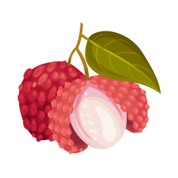 Lychee: Exotic Fruits List with Photos