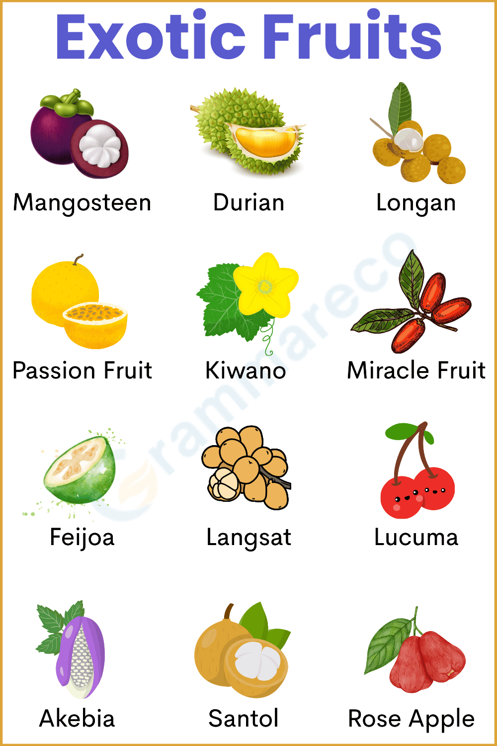 Rare Exotic Fruits and Their Pictures with Information