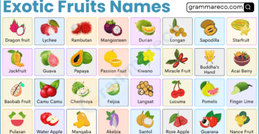 100 Exotic Fruits List: Rare Fruits Names with Photos and Benefits
