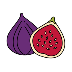 Fig: Round Fruits Names
