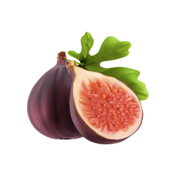 Fig