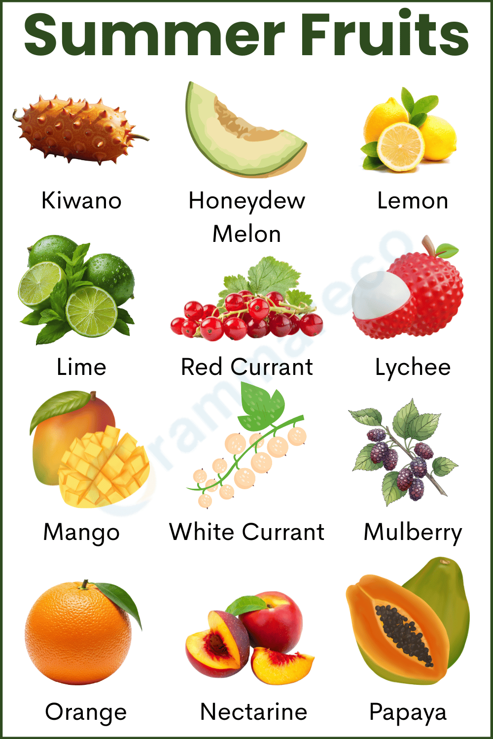 Names of Summer Fruits and Images