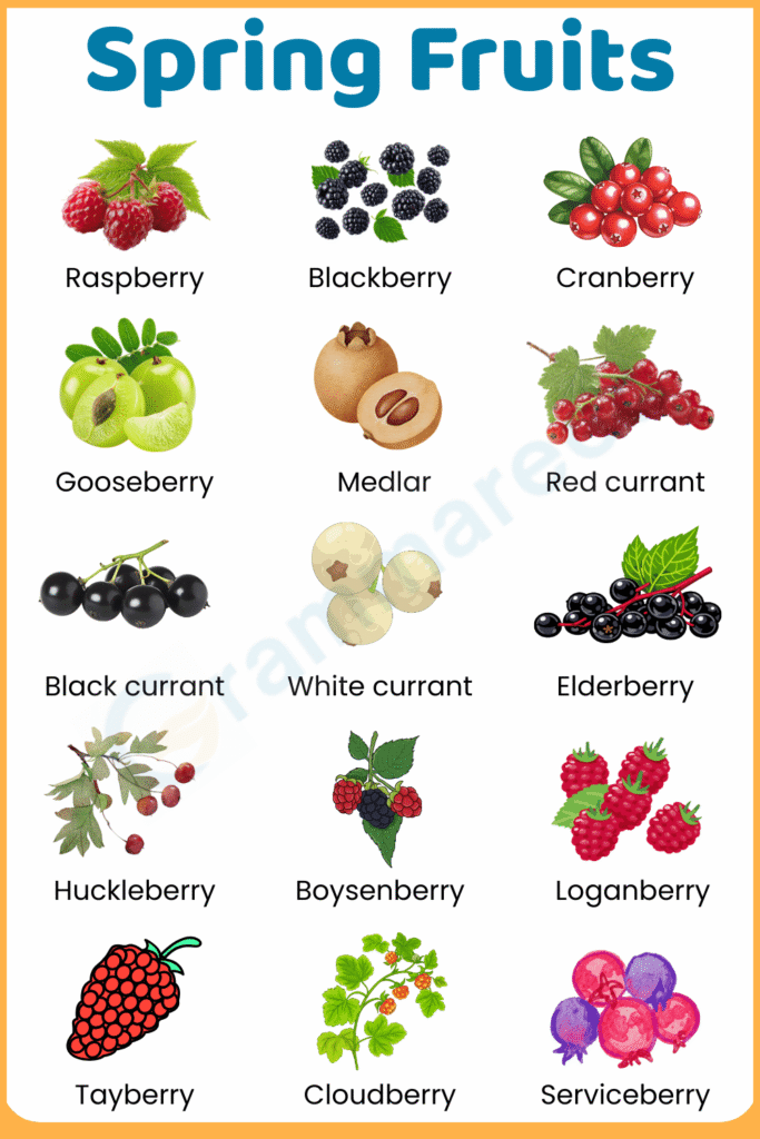Pretty Spring Fruit Spring Fruits: 100+ Fruits that are in Season in Spring with Pictures ...