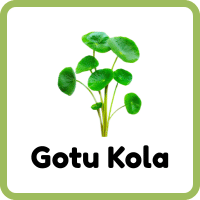 Gotu Kola: Herbs Plants Names