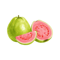 Guava
